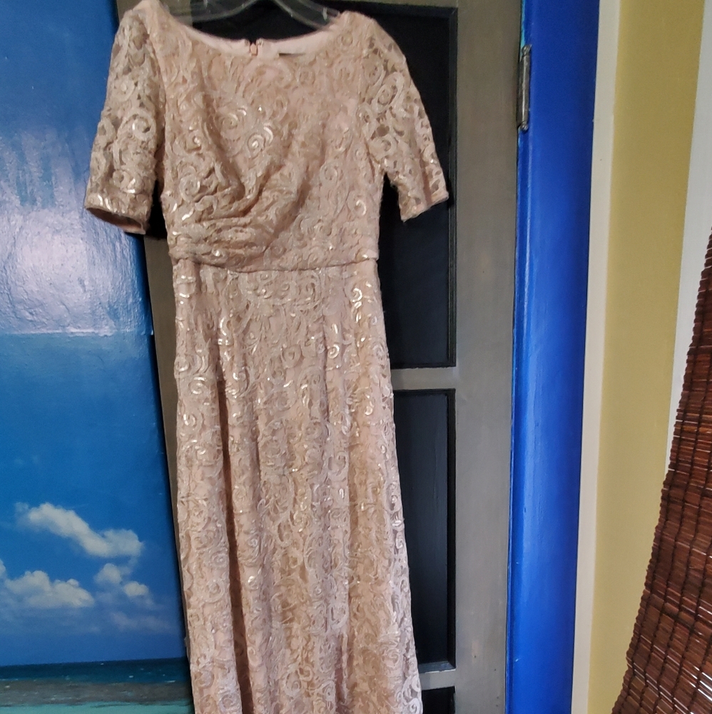 Adrianna Papell mother-of-the-bride dress, S 2